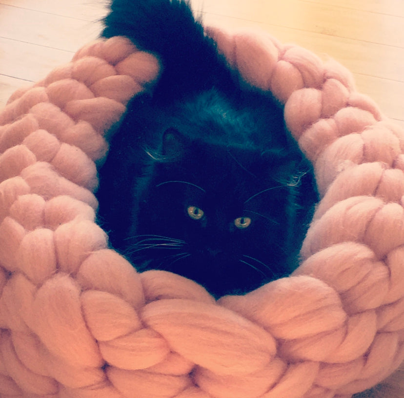 How Long Can You Leave A Cat Alone Hint Not As Long As You Think how-long-can-you-leave-a-cat-alone-hint-not-as-long-as-you-think