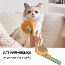 Load image into Gallery viewer, Pet Pumpkin Brush, Pet Grooming Self Cleaning Slicker Brush For Dogs Cats Puppy Rabbit, Cat Brush Grooming Gently Removes Loose Undercoat, Mats Tangled Hair Slicker Brush