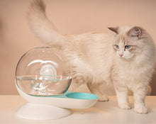 Load image into Gallery viewer, Snail-Shaped Pet Cat Automatic Flow Water Feeder Water Fountain Dispenser for Cats Dogs Small Animals, Capacity: 2.8L (99oz)