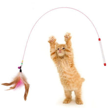 Load image into Gallery viewer, 1 Piece Feathers Cat Teaser Cute Design Bell Steel Wire Cat Toys Interactive Cat Tickle Stick Plastic Handle Pet Products