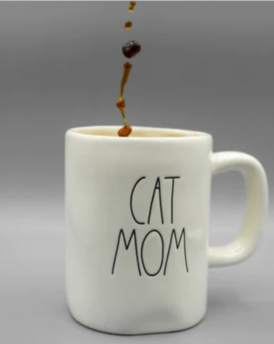 Train your kitten  in the crazy kitty phase