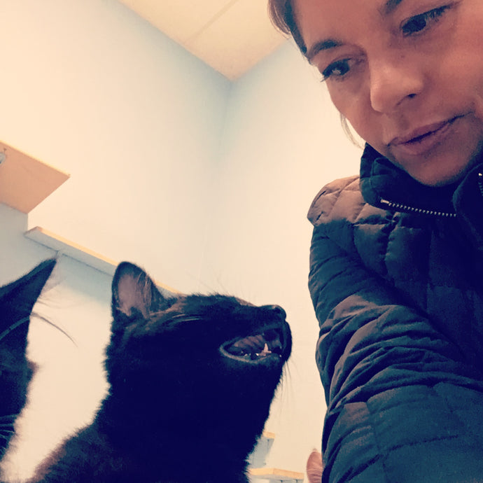 Cats can teach us a lot about love and grief.