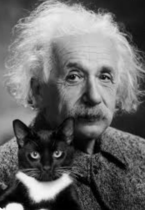 Albert Einstein was a cat lover.