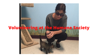 Volunteering at the Humane Society