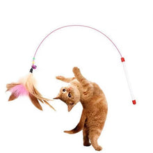 Load image into Gallery viewer, 1 Piece Feathers Cat Teaser Cute Design Bell Steel Wire Cat Toys Interactive Cat Tickle Stick Plastic Handle Pet Products
